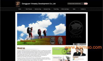 东莞箱包网站建设与设计的全方位指南